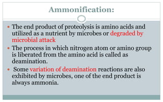 Soil microbiology | PPTX
