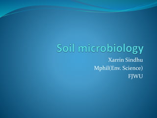 Xarrin Sindhu
Mphil(Env. Science)
FJWU
 
