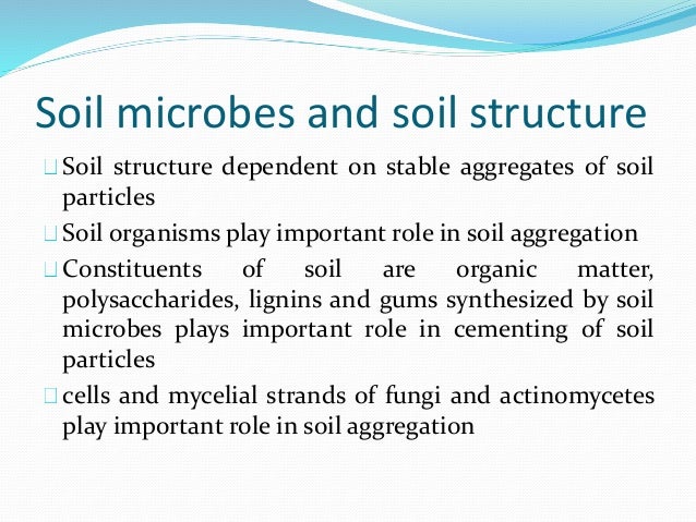 the role of bacteria in soil Microbial biomass key points microbial biomass (bacteria and fungi) is a measure of the mass of the living component of soil organic matter the microbial biomass. the role of bacteria in soil Microbial biomass key points microbial biomass (bacteria and fungi) is a measure of the mass of the living component of soil organic matter the microbial biomass.