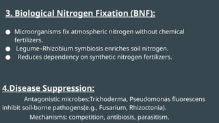 3. Biological Nitrogen Fixation (BNF):
● Microorganisms fix atmospheric nitrogen without chemical
fertilizers.
● Legume–Rhizobium symbiosis enriches soil nitrogen.
● Reduces dependency on synthetic nitrogen fertilizers.
4.Disease Suppression:
Antagonistic microbes:Trichoderma, Pseudomonas fluorescens
inhibit soil-borne pathogens(e.g., Fusarium, Rhizoctonia).
Mechanisms: competition, antibiosis, parasitism.
 