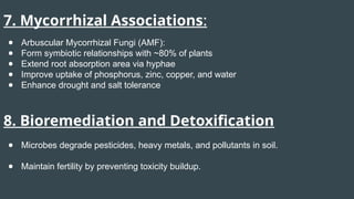 7. Mycorrhizal Associations:
● Arbuscular Mycorrhizal Fungi (AMF):
● Form symbiotic relationships with ~80% of plants
● Extend root absorption area via hyphae
● Improve uptake of phosphorus, zinc, copper, and water
● Enhance drought and salt tolerance
8. Bioremediation and Detoxification
● Microbes degrade pesticides, heavy metals, and pollutants in soil.
● Maintain fertility by preventing toxicity buildup.
 