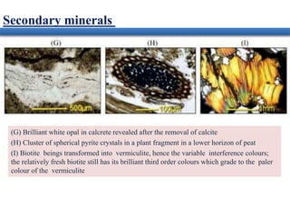 (G) Brilliant white opal in calcrete revealed after the removal of calcite
(H) Cluster of spherical pyrite crystals in a plant fragment in a lower horizon of peat
(I) Biotite beings transformed into vermiculite, hence the variable interference colours;
the relatively fresh biotite still has its brilliant third order colours which grade to the paler
colour of the vermiculite
Secondary minerals
 