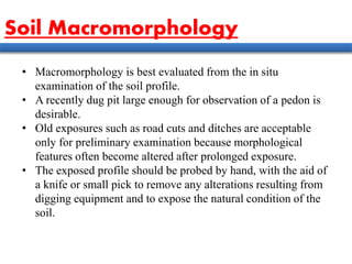 • Macromorphology is best evaluated from the in situ
examination of the soil profile.
• A recently dug pit large enough for observation of a pedon is
desirable.
• Old exposures such as road cuts and ditches are acceptable
only for preliminary examination because morphological
features often become altered after prolonged exposure.
• The exposed profile should be probed by hand, with the aid of
a knife or small pick to remove any alterations resulting from
digging equipment and to expose the natural condition of the
soil.
Soil Macromorphology
 