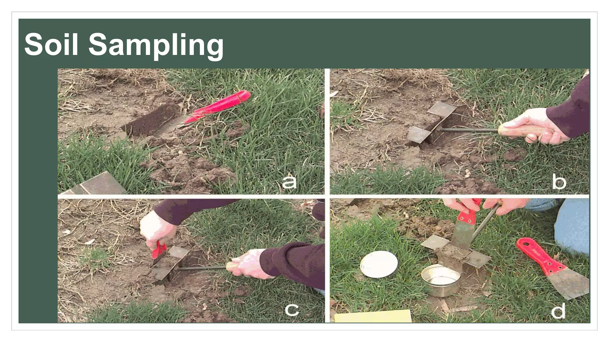 Soil Sampling
 