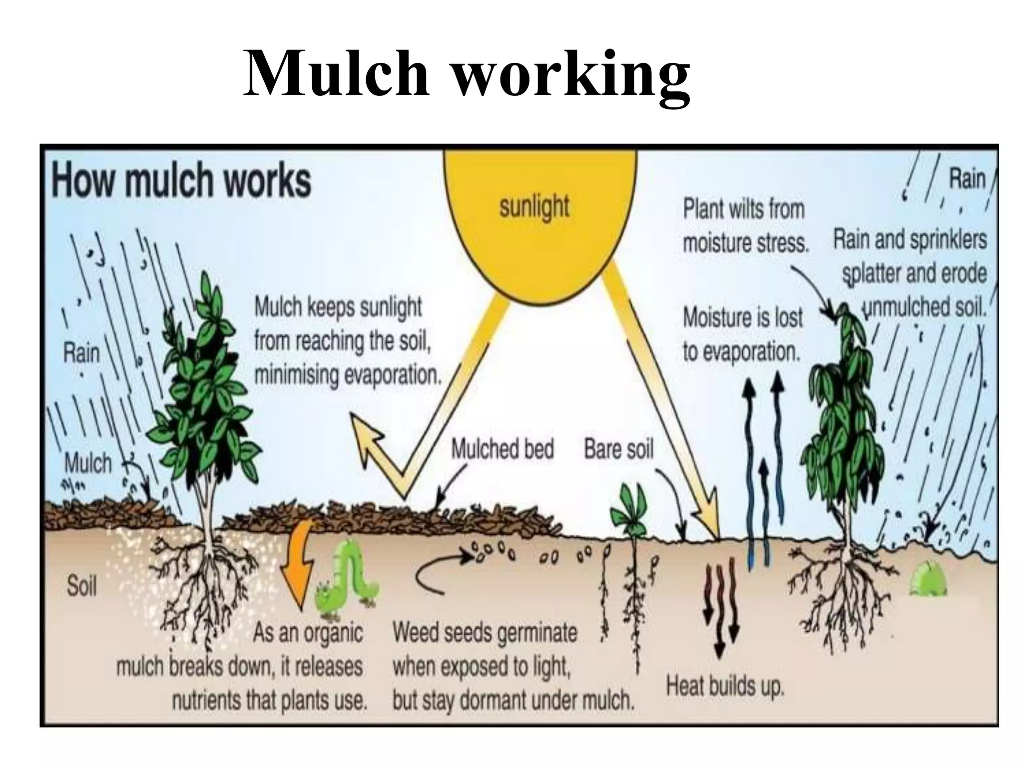 Soil moisture conservation role of mulching and hydrophilic polymers | PPTX