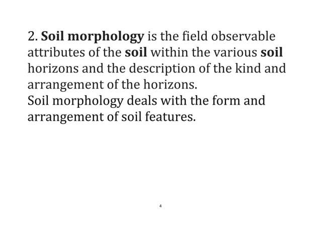 SOIL MORPHOLOGY DEFINITION visual data 5