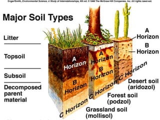 Copyright © 2008 Pearson Education, Inc., publishing as Pearson Benjamin Cummings
 