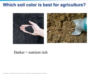 Copyright © 2008 Pearson Education, Inc., publishing as Pearson Benjamin Cummings
Which soil color is best for agriculture?
Darker = nutrient rich
 