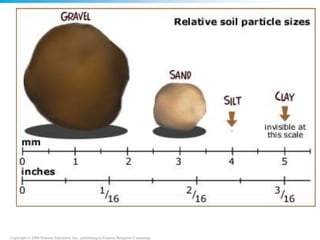 Copyright © 2008 Pearson Education, Inc., publishing as Pearson Benjamin Cummings
 