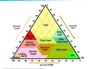 Copyright © 2008 Pearson Education, Inc., publishing as Pearson Benjamin Cummings
 
