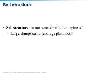 Copyright © 2008 Pearson Education, Inc., publishing as Pearson Benjamin Cummings
Soil structure
• Soil structure = a measure of soil’s “clumpiness”
- Large clumps can discourage plant roots
 