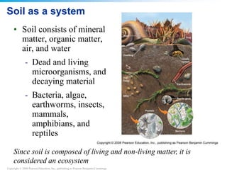Copyright © 2008 Pearson Education, Inc., publishing as Pearson Benjamin Cummings
Soil as a system
• Soil consists of mineral
matter, organic matter,
air, and water
- Dead and living
microorganisms, and
decaying material
- Bacteria, algae,
earthworms, insects,
mammals,
amphibians, and
reptiles
Since soil is composed of living and non-living matter, it is
considered an ecosystem
 