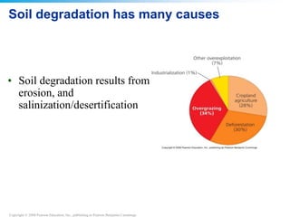 Copyright © 2008 Pearson Education, Inc., publishing as Pearson Benjamin Cummings
Soil degradation has many causes
• Soil degradation results from
erosion, and
salinization/desertification
 