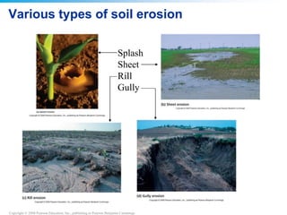 Copyright © 2008 Pearson Education, Inc., publishing as Pearson Benjamin Cummings
Various types of soil erosion
Splash
Sheet
Rill
Gully
 