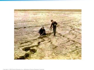 Copyright © 2008 Pearson Education, Inc., publishing as Pearson Benjamin Cummings
 