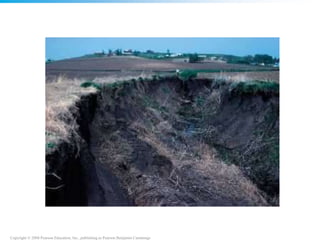 Copyright © 2008 Pearson Education, Inc., publishing as Pearson Benjamin Cummings
 