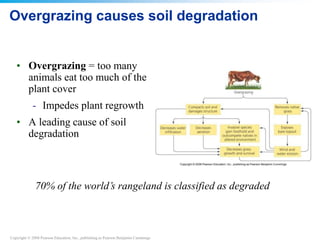 Copyright © 2008 Pearson Education, Inc., publishing as Pearson Benjamin Cummings
Overgrazing causes soil degradation
• Overgrazing = too many
animals eat too much of the
plant cover
- Impedes plant regrowth
• A leading cause of soil
degradation
70% of the world’s rangeland is classified as degraded
 