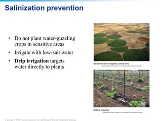 Copyright © 2008 Pearson Education, Inc., publishing as Pearson Benjamin Cummings
Salinization prevention
• Do not plant water-guzzling
crops in sensitive areas
• Irrigate with low-salt water
• Drip irrigation targets
water directly to plants
 