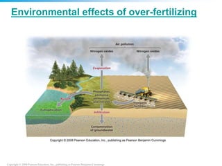 Copyright © 2008 Pearson Education, Inc., publishing as Pearson Benjamin Cummings
Environmental effects of over-fertilizing
 