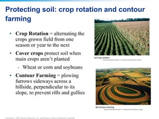 Copyright © 2008 Pearson Education, Inc., publishing as Pearson Benjamin Cummings
Protecting soil: crop rotation and contour
farming
• Crop Rotation = alternating the
crops grown field from one
season or year to the next
• Cover crops protect soil when
main crops aren’t planted
- Wheat or corn and soybeans
• Contour Farming = plowing
furrows sideways across a
hillside, perpendicular to its
slope, to prevent rills and gullies
 