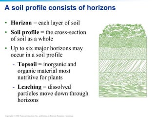 Copyright © 2008 Pearson Education, Inc., publishing as Pearson Benjamin Cummings
A soil profile consists of horizons
• Horizon = each layer of soil
• Soil profile = the cross-section
of soil as a whole
• Up to six major horizons may
occur in a soil profile
- Topsoil = inorganic and
organic material most
nutritive for plants
- Leaching = dissolved
particles move down through
horizons
 