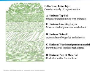Copyright © 2008 Pearson Education, Inc., publishing as Pearson Benjamin Cummings
O Horizon: Litter layer
Consists mostly of organic matter
A Horizon: Top Soil
Organic material mixed with minerals
E Horizon: Leaching Layer
Minerals and organics are washed out
B Horizon: Subsoil
Accumulate of organics and minerals
C Horizon: Weathered parent material
Parent material that has been altered
R Horizon: Parent Material
Rock that soil is formed from
 