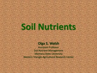 Soil Nutrients
Olga S. Walsh
Assistant Professor
Soil Nutrient Management
Montana State University
Western Triangle Agricultural Research Center
 
