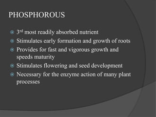 PHOSPHOROUS
 3rd most readily absorbed nutrient
 Stimulates early formation and growth of roots
 Provides for fast and vigorous growth and
speeds maturity
 Stimulates flowering and seed development
 Necessary for the enzyme action of many plant
processes
 