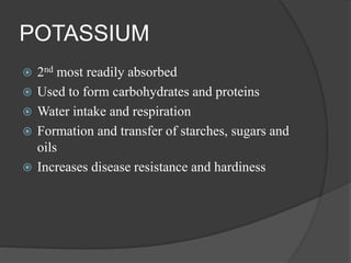 POTASSIUM
 2nd most readily absorbed
 Used to form carbohydrates and proteins
 Water intake and respiration
 Formation and transfer of starches, sugars and
oils
 Increases disease resistance and hardiness
 