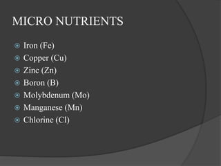 MICRO NUTRIENTS
 Iron (Fe)
 Copper (Cu)
 Zinc (Zn)
 Boron (B)
 Molybdenum (Mo)
 Manganese (Mn)
 Chlorine (Cl)
 