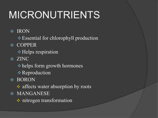 MICRONUTRIENTS
 IRON
Essential for chlorophyll production
 COPPER
Helps respiration
 ZINC
helps form growth hormones
Reproduction
 BORON
 affects water absorption by roots
 MANGANESE
 nitrogen transformation
 