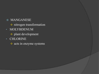  MANGANESE
 nitrogen transformation
• MOLYBDENUM
 plant development
• CHLORINE
 acts in enzyme systems
 