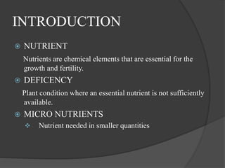 INTRODUCTION
 NUTRIENT
Nutrients are chemical elements that are essential for the
growth and fertility.
 DEFICENCY
Plant condition where an essential nutrient is not sufficiently
available.
 MICRO NUTRIENTS
 Nutrient needed in smaller quantities
 