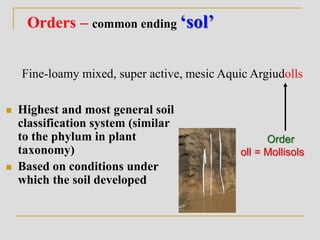 Orders – common ending ‘sol’
 Highest and most general soil
classification system (similar
to the phylum in plant
taxonomy)
 Based on conditions under
which the soil developed
Fine-loamy mixed, super active, mesic Aquic Argiudolls
Order
oll = Mollisols
 