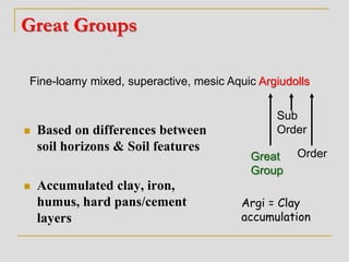 Great Groups
 Based on differences between
soil horizons & Soil features
 Accumulated clay, iron,
humus, hard pans/cement
layers
Fine-loamy mixed, superactive, mesic Aquic Argiudolls
Great
Group
Sub
Order
Order
Argi = Clay
accumulation
 