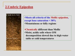 2.Umbric Epipedon
•Meets all criteria of the Mollic epipedon,
except base saturation < 50%
•Mountainous or hilly regions
•Chemically different than Mollic
•Moist, acidic soils where OM
decomposition slowed due to high water
table or cold temperatures
 