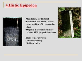4.Histic Epipedon
• Mandatory for Histosol
• Formed in wet areas - water
saturated for >30 consecutive
days
• Organic materials dominate
>20 to 35% (organic horizon)
•Black to dark brown
•Low bulk density
•20-30 cm thick
 