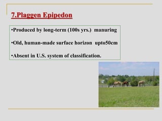 7.Plaggen Epipedon
•Produced by long-term (100s yrs.) manuring
•Old, human-made surface horizon upto50cm
•Absent in U.S. system of classification.
 