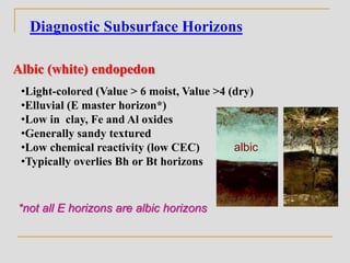 Diagnostic Subsurface Horizons
Albic (white) endopedon
•Light-colored (Value > 6 moist, Value >4 (dry)
•Elluvial (E master horizon*)
•Low in clay, Fe and Al oxides
•Generally sandy textured
•Low chemical reactivity (low CEC)
•Typically overlies Bh or Bt horizons
albic
*not all E horizons are albic horizons
 