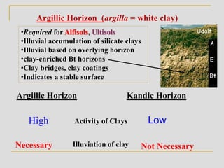 Argillic Horizon (argilla = white clay)
•Required for Alfisols, Ultisols
•Illuvial accumulation of silicate clays
•Illuvial based on overlying horizon
•clay-enriched Bt horizons
•Clay bridges, clay coatings
•Indicates a stable surface
Argillic Horizon Kandic Horizon
Activity of Clays
High Low
Illuviation of clay
Necessary Not Necessary
 