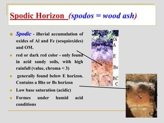 Spodic Horizon (spodos = wood ash)
 Spodic - illuvial accumulation of
oxides of Al and Fe (sesquioxides)
and OM.
 red or dark red color - only found
in acid sandy soils, with high
rainfall (value, chroma < 3)
 generally found below E horizon.
Contains a Bhs or Bs horizon
 Low base saturation (acidic)
 Formes under humid acid
conditions
Oi
E
Bhs
Bs
C
 