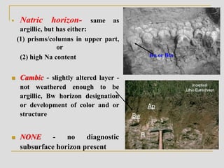  Natric horizon- same as
argillic, but has either:
(1) prisms/columns in upper part,
or
(2) high Na content
 Cambic - slightly altered layer -
not weathered enough to be
argillic, Bw horizon designation
or development of color and or
structure
 NONE - no diagnostic
subsurface horizon present
Bn or Btn
 