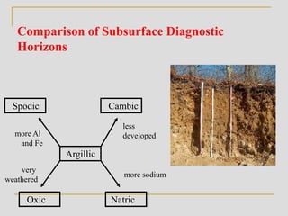 Comparison of Subsurface Diagnostic
Horizons
Oxic
very
weathered
Spodic Cambic
Argillic
Natric
more Al
and Fe
less
developed
more sodium
 