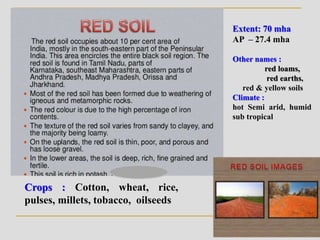 Crops : Cotton, wheat, rice,
pulses, millets, tobacco, oilseeds
Extent: 70 mha
AP – 27.4 mha
Other names :
red loams,
red earths,
red & yellow soils
Climate :
hot Semi arid, humid
sub tropical
 