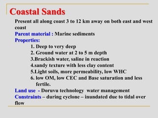 Coastal Sands
Present all along coast 3 to 12 km away on both east and west
coast
Parent material : Marine sediments
Properties:
1. Deep to very deep
2. Ground water at 2 to 5 m depth
3.Brackish water, saline in reaction
4.sandy texture with less clay content
5.Light soils, more permeability, low WHC
6. low OM, low CEC and Base saturation and less
fertile.
Land use - Doruvu technology water management
Constraints – during cyclone – inundated due to tidal over
flow
 