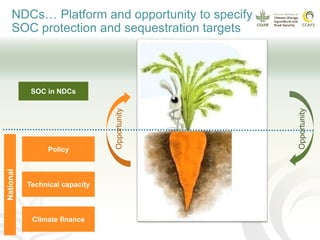 Soil organic carbon in nationally determined contributions (NDCs)