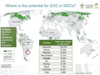 Soil organic carbon in nationally determined contributions (NDCs)