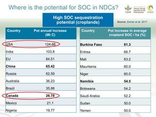 Soil organic carbon in nationally determined contributions (NDCs)