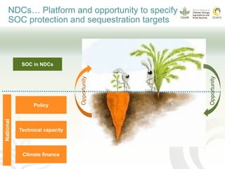 Soil organic carbon in nationally determined contributions (NDCs)