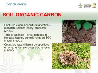 Soil organic carbon in nationally determined contributions (NDCs)